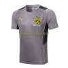 BVB Borussia Dortmund Trainingsshirts Suit 2022-23 Hellgraue Für Herren